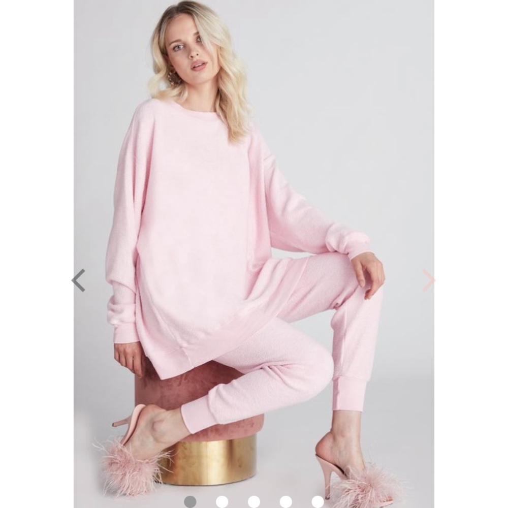 NEW WILDFOX oversized sweatshirt SZ Small